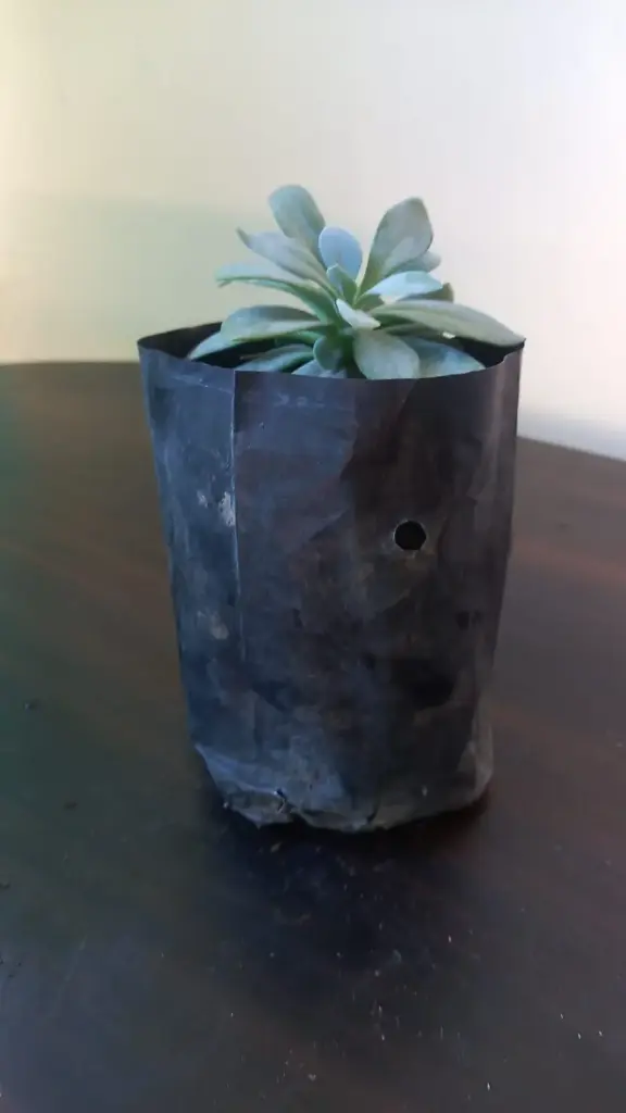 WhatsApp Image 2025-07-21 at 5.17.35 PM (1).webp