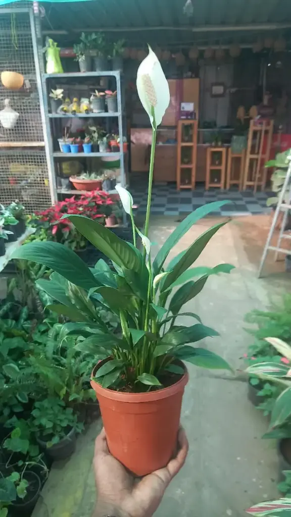 WhatsApp Image 2025-10-24 at 9.47.12 PM (1).webp