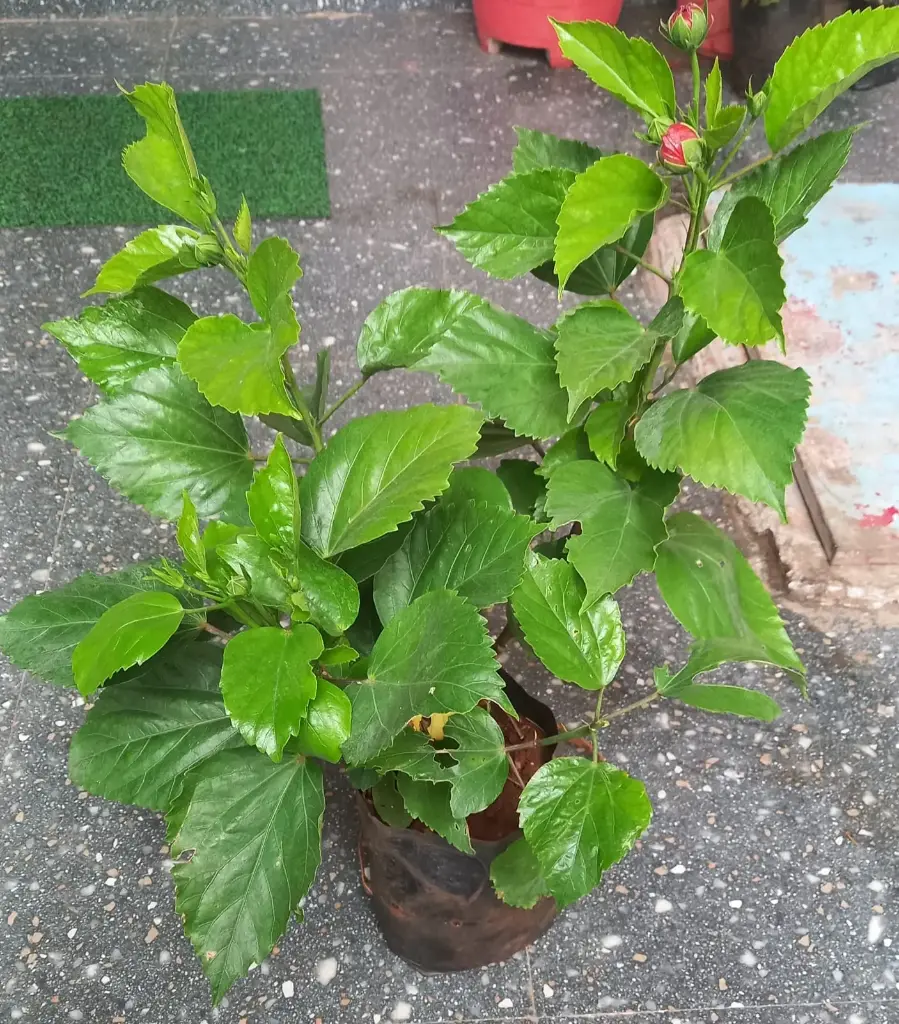 WhatsApp Image 2025-11-23 at 2.46.09 PM.webp