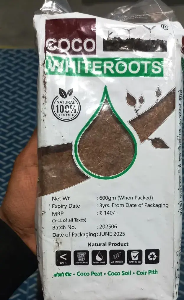 WhatsApp Image 2025-11-23 at 8.45.17 PM.webp