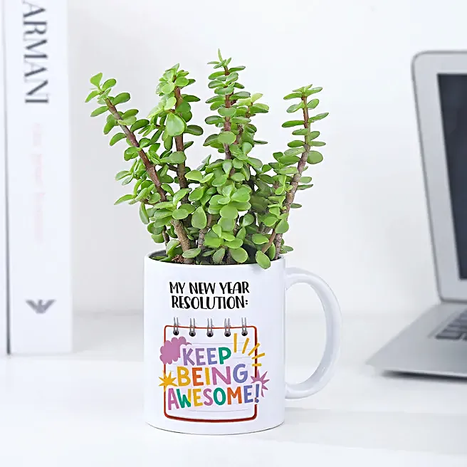 Jade Plant in New Year Resolution Mug