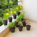 Beautiful Flower Garden in a Balcony